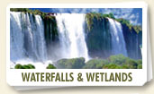 Iguazu Waterfalls and Ibera Wetlands