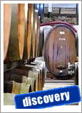 Thematic trip visiting wine cellars and vineyards