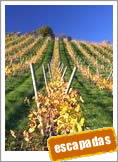 Mendoza, Altas Cumbres, Aconcagua y bodegas