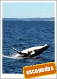 Tours Argentina