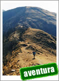 Tours Norte y Atacama