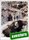 Tours Norte y Atacama