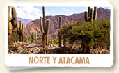 Atacama y Norte Argentino